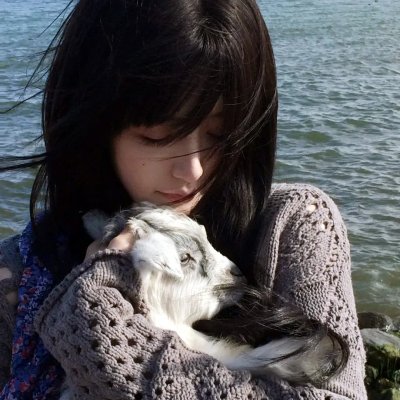 南国野兽