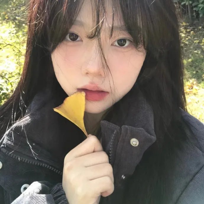 自拍复印机